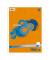Collegeblock 040993028, Muster, Lineatur 28 / kariert mit Rand innen/außen, A4, 60g, orange, 80 Blatt