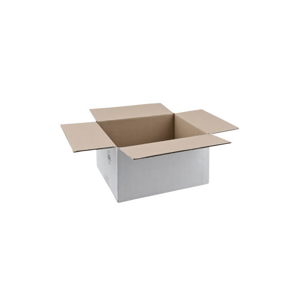 4255704302851 - Faltkarton 597617 weiß bis DIN A4 innen 300x230x150mm Wellpappe 1-wellig 4255704302851 20 Stück 4255704302851 - Faltkarton 597617 weiß bis DIN A4 innen 300x230x150mm Wellpappe 1-wellig 4255704302851 20 Stück