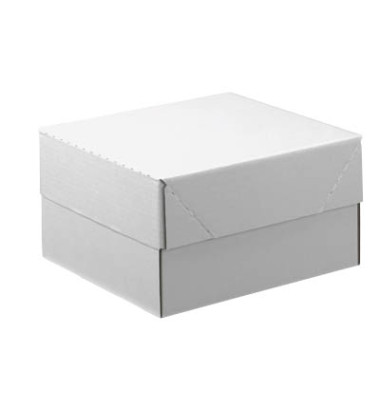 Versandkarton 599324 weiß, bis DIN A4, innen 310x220x160mm, Wellpappe 1-wellig Versandkarton 599324 weiß, bis DIN A4, innen 310x220x160mm, Wellpappe 1-wellig