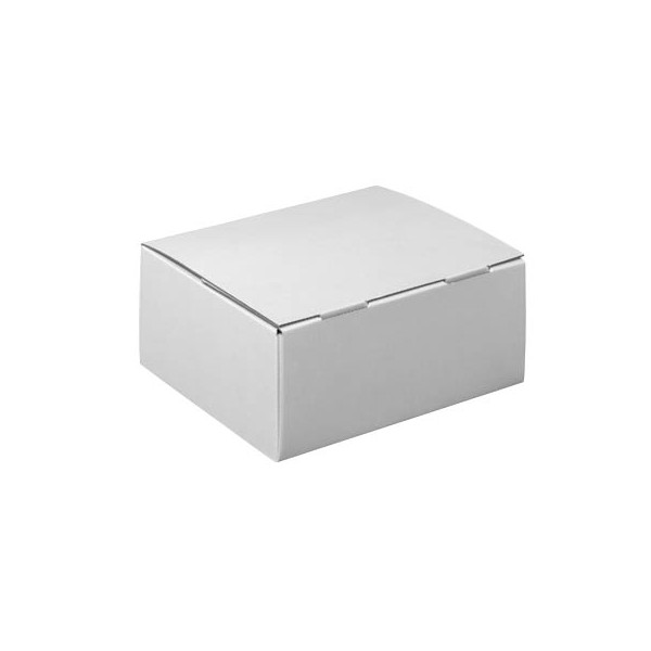 4255704302806 - Versandkarton Pack-Set XS 601005 weiß bis DIN A6+ innen 222x135x31mm Wellpappe 1-wellig 4255704302806 20 Stück 4255704302806 - Versandkarton Pack-Set XS 601005 weiß bis DIN A6+ innen 222x135x31mm Wellpappe 1-wellig 4255704302806 20 Stück