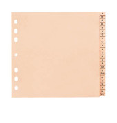 Kartonregister 846224-7210-81, A bis Z, A4 halbe Höhe, 110 g/m², chamois Taben, 24-teilig