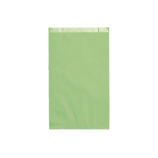 4255704302615 - Faltenbeutel Kraftpapier 50g hellgrün 200x320x70mm 4255704302615 1FFFB015020 100 Stück 4255704302615 - Faltenbeutel Kraftpapier 50g hellgrün 200x320x70mm 4255704302615 1FFFB015020 100 Stück