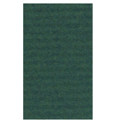 Geschenkpapier 95755C, 70cm x 3m, dunkelgr&uuml;n