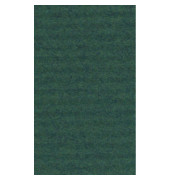 Geschenkpapier dunkelgrün 70cm x 3m