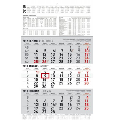 Dreimonatskalender 3Monate/1Seite 30x48,7cm 2021