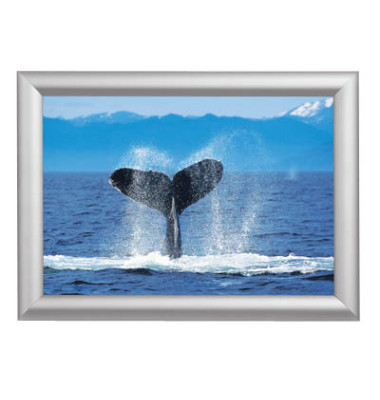 Plakat-Klapprahmen Standard, KRA1G25, silber, A1, Aluminium