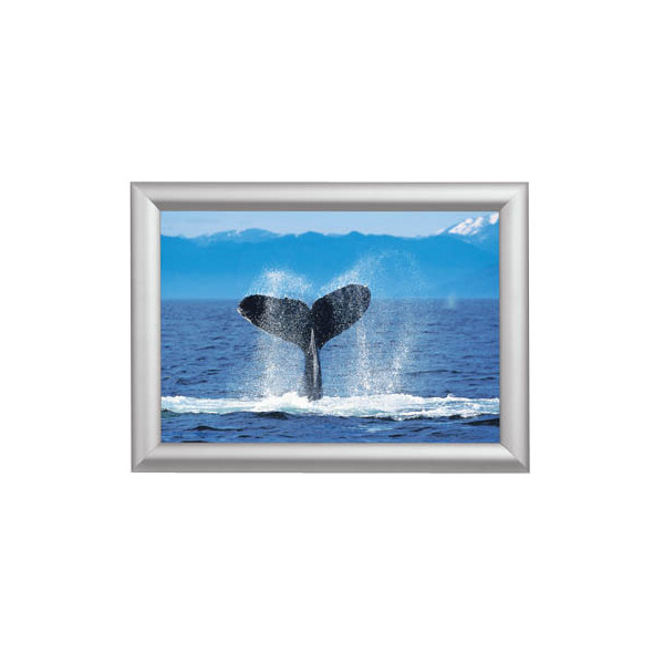 8595578355963 - Plakat-Klapprahmen KRA1G25 silber A1 mit Antireflexfolie 8595578355963 Showdown Displays 8595578355963 - Plakat-Klapprahmen KRA1G25 silber A1 mit Antireflexfolie 8595578355963 Showdown Displays