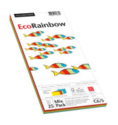 Designbriefumschläge Din Lang+ EcoRainbow ohne Fenster haftklebend 80g farbig sortiert