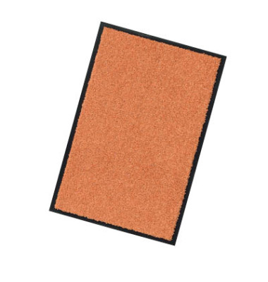 Schmutzfangmatte Wash & Clean 40x60cm terracotta Schmutzfangmatte Wash & Clean 40x60cm terracotta