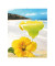 Rahmenloser Bilderhalter Clip-Fix 21 x 29,7cm PS-Glas 