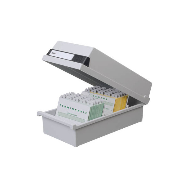 4012473954113 - Karteikasten 33 x 242 x 365 cm (B x H x T) DIN A4 quer 1300 Karten Polystyrol lichtgrau 2 Stützplatten