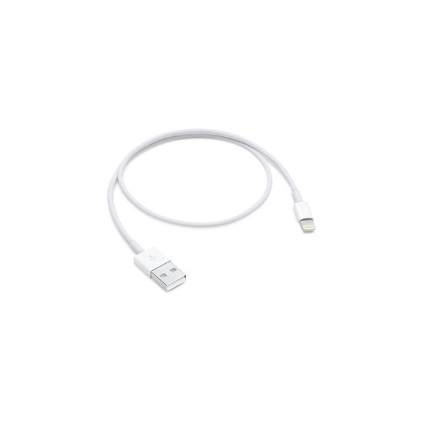 0885909707973 - iPad iPhone iPod Anschlusskabel [1x USB 20 Stecker A - 1x Lightning-Stecker] 050 m Weiß