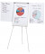 BüroLine Flipchart Professional 74 x 106 cm grau