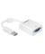 VGA-Adapter 20-pol.DisplayPort