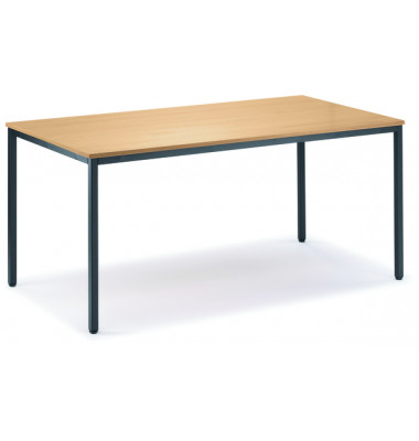 Besprechungstisch Deskin-Line 217256, 72cm (H), 120x80cm (BxT), 6 Personen, rechteckig, buche / anthrazit