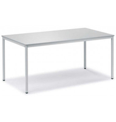 Besprechungstisch Deskin-Line 221491, 72cm (H), 160x60cm (BxT), 6 Personen, rechteckig, lichtgrau / lichtgrau