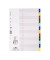 Kunststoffregister 675027, 1 bis 12, A4, 120&micro;m, farbige Taben, 12-teilig