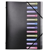 Ordnungsmappe Opak - Serie 55981E, 12-teilig blanko, schwarz, Din A4, 12 F&auml;cher