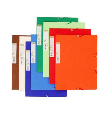 Eckspannmappe Forever 56980E, A4 farbig sortiert Karton 380g, f&uuml;r ca. 250 Blatt, mit 3 Einschlagklappen
