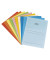 Sichtmappen Ordo classico 29488.00, A4 farbig sortiert Recyclingpapier 120g