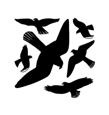5999 Warnv&ouml;gel Etiketten schwarz 30 x 30 cm 