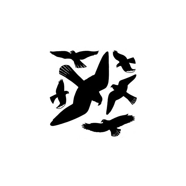 4008705059992 - 5999 Warnvögel Etiketten schwarz 30 x 30 cm  4008705059992 Herma