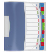 Ordnungsmappe Vivida 624030, 12-teilig blanko, farbig/transluzent, Din A4, 12 F&auml;cher