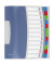 Ordnungsmappe Vivida 624030, 12-teilig blanko, farbig/transluzent, Din A4, 12 F&auml;cher