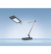 Schreibtischlampe Work H5010633, LED, mit Standfuß, mit Tischklemme, anthrazit