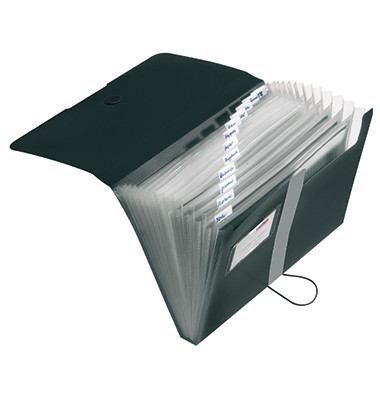 F&auml;chermappe easy orga to go 11208394, schwarz, A4, 12 F&auml;cher