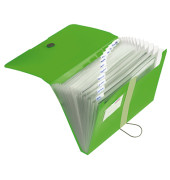 F&auml;chermappe easy orga to go 11209517, apfel, A4, 12 F&auml;cher