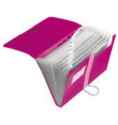 F&auml;chermappe easy orga to go 11217114 A4 mit 12 F&auml;chern 12-teilig blanko Kunststoff beere