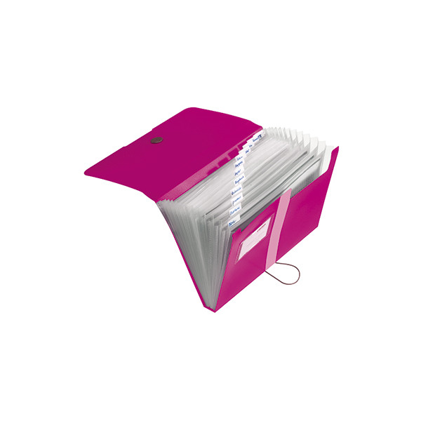 4008110436302 - Fächermappe easy orga to go 11217114 A4 mit 12 Fächern 12-teilig blanko Kunststoff beere 4008110436302 Herlitz