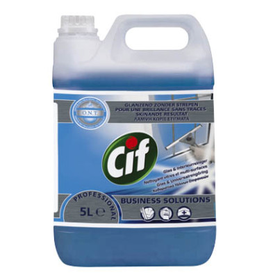 Glasreiniger 913355 Professional, 5 Liter, Kanister