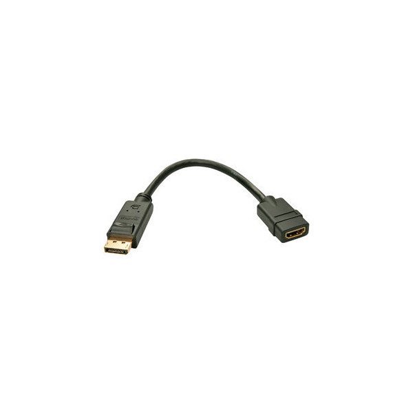 4002888410052 - 41005 Video Kabel Adapter 015 m DisplayPort hdmi Schwarz - Video Kabel Adapter (015 m DisplayPort hdmi Stecker Buchse Gold) - Lindy 4002888410052 - 41005 Video Kabel Adapter 015 m DisplayPort hdmi Schwarz - Video Kabel Adapter (015 m DisplayPort hdmi Stecker Buchse Gold) - Lindy
