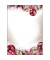 Motiv-Weihnachtsbriefpapier Frozen DP041 A4 90g 