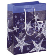 Geschenktasche GT026 Shining Stars, Weihnachten, mit Tragekordel / Geschenkanh&auml;nger, Shining Stars, 17cm x 23cm