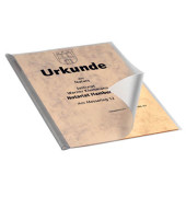 Klemmschienenhüllen 2919 19, A4 farblos-transparent, für ca. 100 Blatt, PVC-Hartfolie