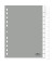 Kunststoffregister 6410 10, 12-teilig blanko, A4, 120µm, transparente Fenstertaben, 12-teilig