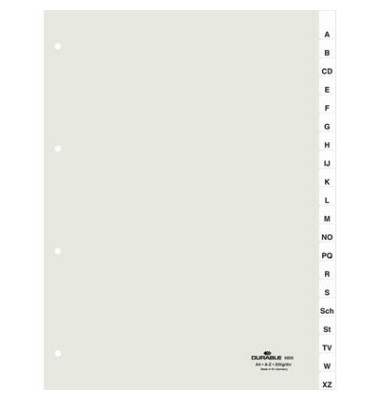 Kunststoffregister 6800 19, 20-teilig blanko, A4, 120µm, transparente Fenstertaben, 20-teilig