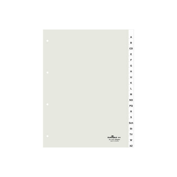 Durable Kunststoffregister 6800 19, 20-teilig blanko, A4, 120µm, transparente Fenstertaben, 20-teilig 4005546630007 Durable
