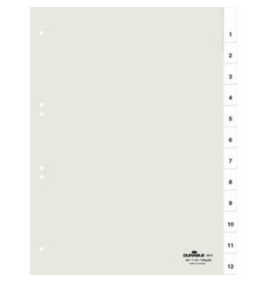 Kunststoffregister 681019, 12-teilig blanko, A4, 120µm, transparente Fenstertaben, 12-teilig