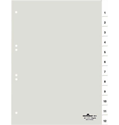 Kunststoffregister 6819 19, 31-teilig blanko, A4, 120µm, transparente Fenstertaben, 31-teilig