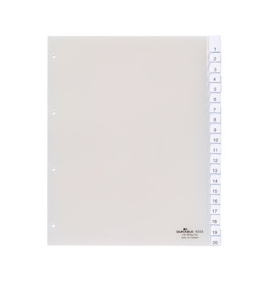 Kunststoffregister 6833-19 blanko A4+ 0,12mm weiße Fenstertaben zum wechseln 20-teilig
