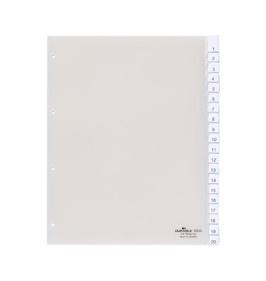 Kunststoffregister 683319, 20-teilig blanko, A4+, 120µm, transparente Fenstertaben, 20-teilig