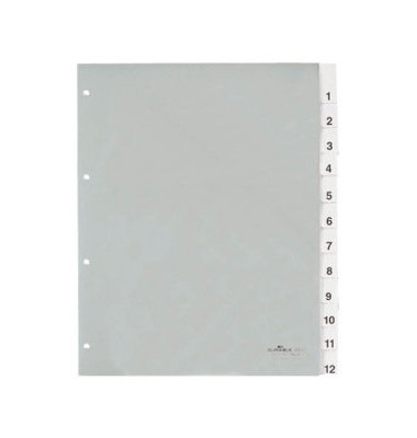 Kunststoffregister 683519, 12-teilig blanko, A4+, 120µm, transparente Fenstertaben, 12-teilig Kunststoffregister 683519, 12-teilig blanko, A4+, 120µm, transparente Fenstertaben, 12-teilig