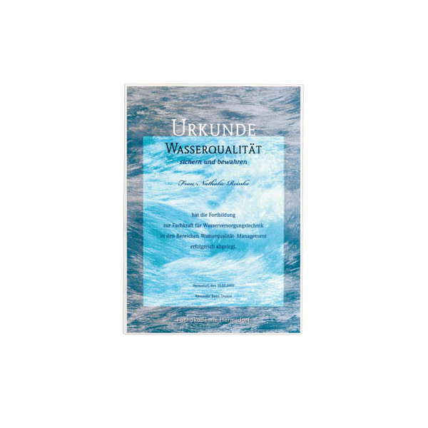 4005546803876 - Selbstklebetasche POCKETFIX - 8096 Verwendung für Papierformat DIN A4 (B x H) 210 mm x 297 mm Transparent 25 St 809619