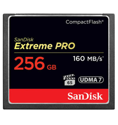 Speicherkarte Extreme Pro CF 256GB 16