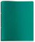 Ringbuch Viquel V020203, A4 2 Ringe 20mm Ring-Ø PP grün