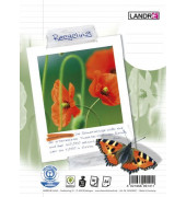 Collegeblock 100050219 Recycling, Schule, Lineatur 27 / liniert mit Rand innen/außen, A4+, 70g, beige, 80 Blatt